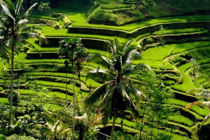2 Days Mount Batur Sunrise Trekking With Private Ubud Day Tour - The real trade-offs: crowding, weather, and physical demand