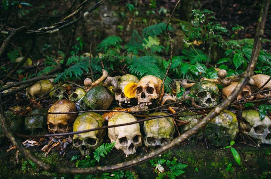 Bali/Batur: Mystical & Burial Rituals Tour with Kehen Temple - Key highlights at a glance