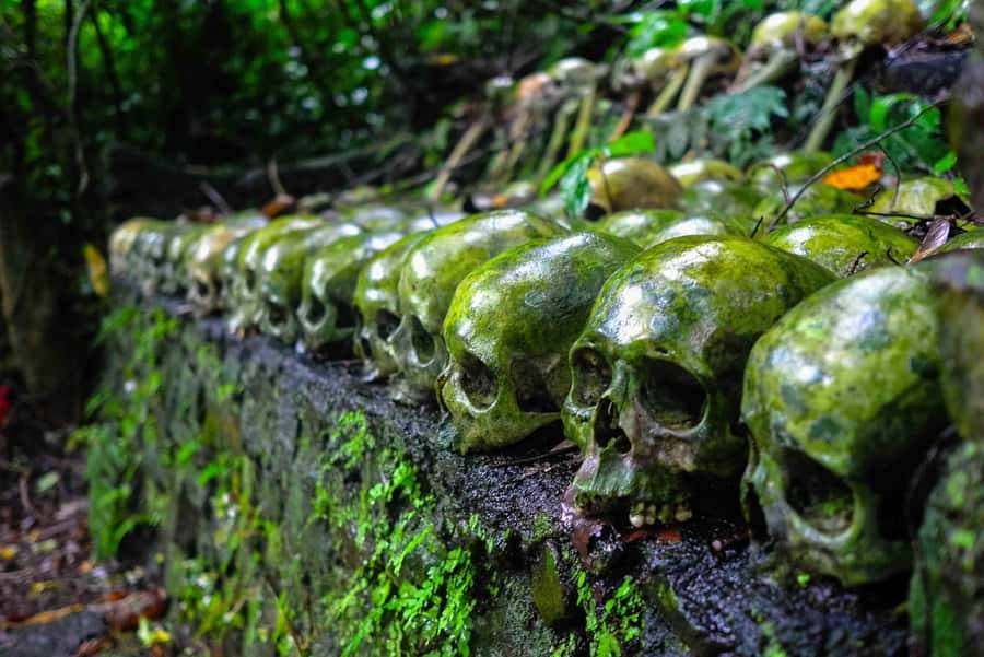 Bali/Batur: Mystical & Burial Rituals Tour with Kehen Temple - Trunyan Cemetery: the Taru Menyan tree and the bamboo cage burial