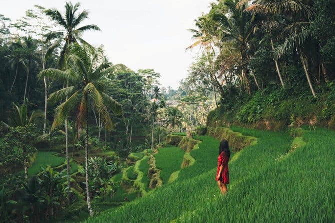 Bali day trip : Batur Sunrise Hike and Hot Spring All inclusive - Ubud art market pass and rice terrace views: optional add-ons, no pressure