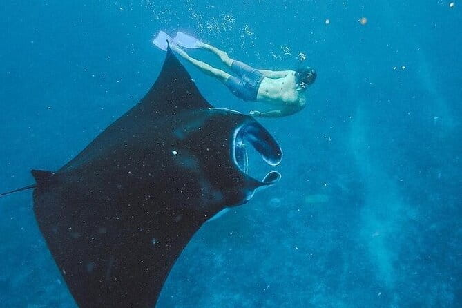 Bali day trip : Batur Sunrise Hike and Hot Spring All inclusive - Who this Bali day trip is best for (and who should skip it)