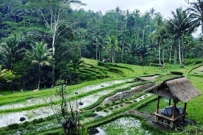 Bali Dirt Bike Enduro at Batur Volcano and Kintamani Forest - The 12-Hour Timing and How It Affects Your Day