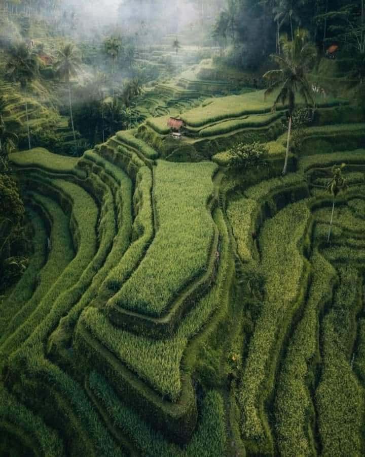 Bali : Highlight of Ubud Culture, Temple and Batur Volcano - Price and value: what $33 really buys you