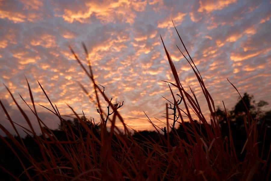 Bali: Mount Batur Entry Ticket on a Guided Hike or Jeep Ride - Getting to the starting point, and why your ticket matters