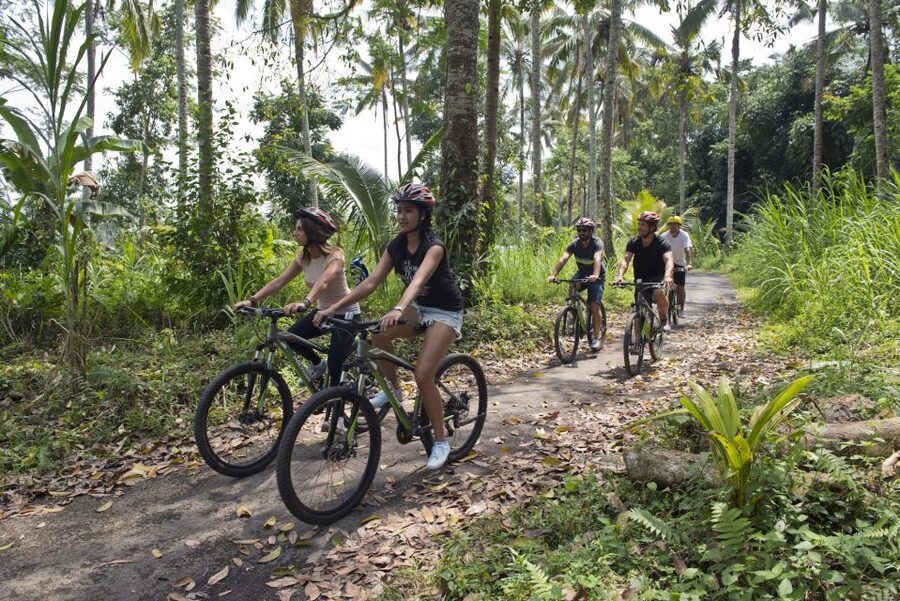Bali: Mount Batur Mountain Biking Adventure with Lunch - Lunch after the ride: what you get and how to make it work for you