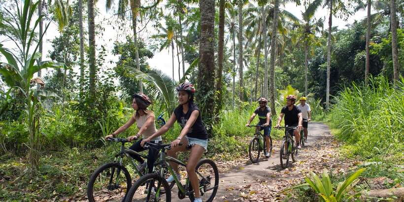 Bali: Mount Batur Mountain Biking Adventure with Lunch - Who this Bali mountain biking trip is best for