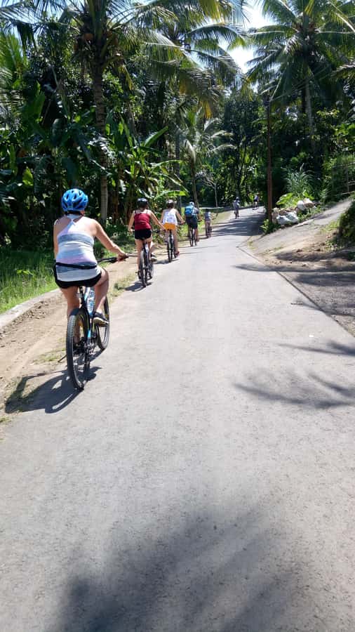 Bali Natural Downhill Cycling Tour and visit Batur Volcano - Mount Batur Crater Lake Viewpoint and What It Means for Your Day