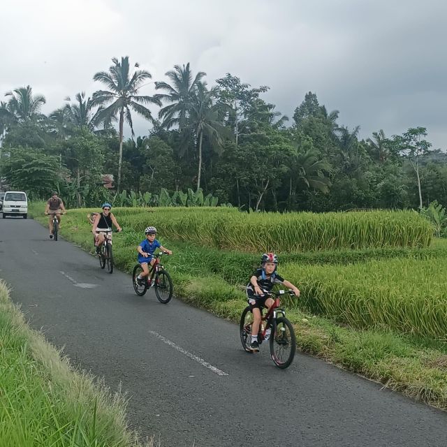 Bali Natural Downhill Cycling Tour and visit Batur Volcano - Lunch Over Rice Fields and the End of the Ride Feeling Good