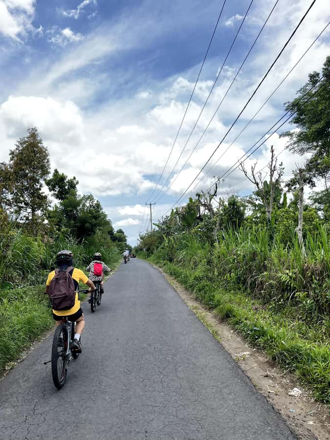 Bali Natural Downhill Cycling Tour and visit Batur Volcano - Who This Tour Fits Best, and Who Should Skip It