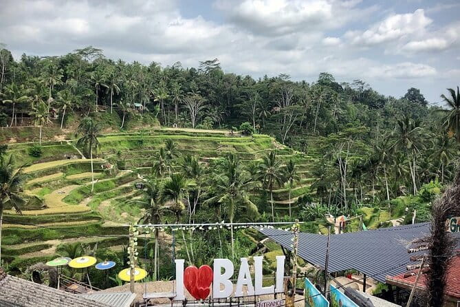 Bali Swing Packages and Kintamani Mt Batur Volcano View - One day from Seminyak, built for views and variety