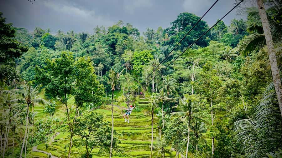 Bali: Ubud Zipline, Goa Raja Waterfall and swing adventure - Ubud zipline over jungle and river valleys