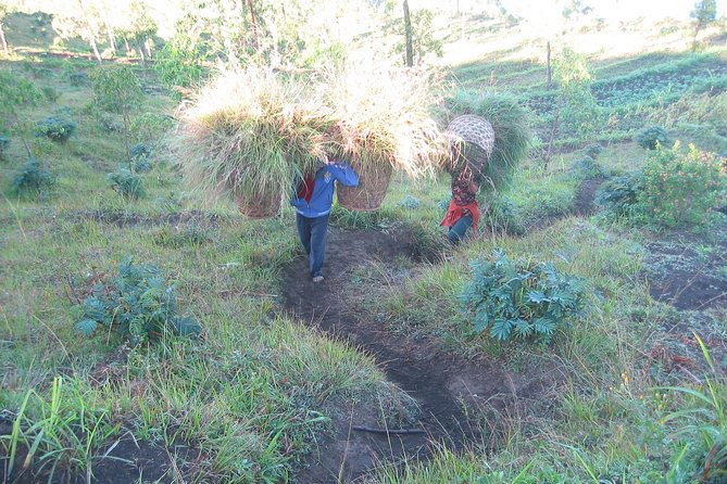 Batur Caldera Sunrise Trekking - Getting to Pulak by Lake Batur, not just by van