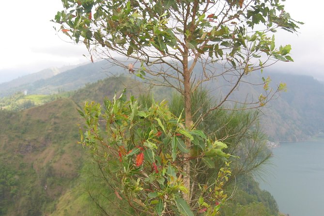 Batur Caldera Sunrise Trekking - Breakfast, then the descent and the lake crossing you’ll enjoy