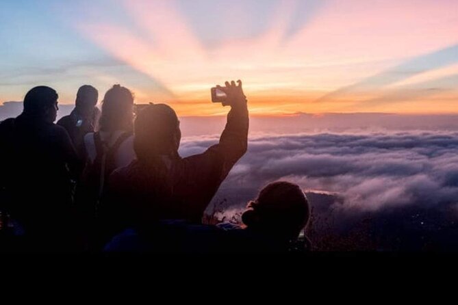 Batur Sunrise Trekking - Coffee plantation stop: a calmer finish after the climb