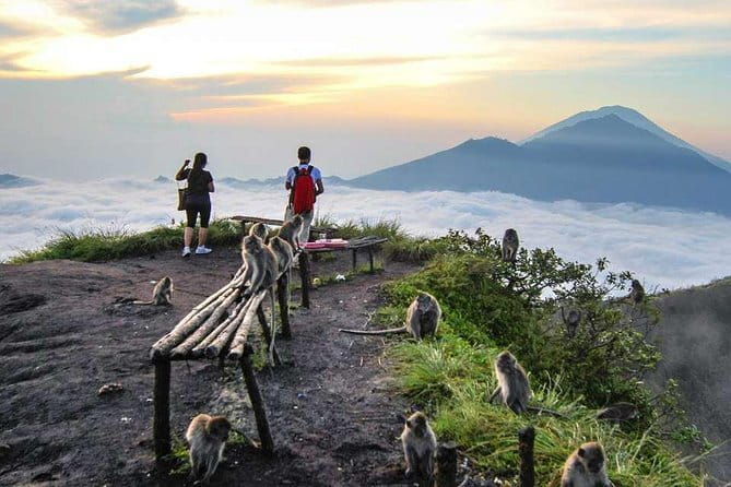 Batur Sunrise Trekking & Hot Springs - The pre-dawn hike up Mount Batur, step by step