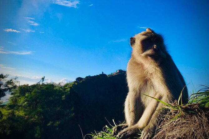 Batur Trekking Sunrise with Breakfast - Key highlights to know before you go