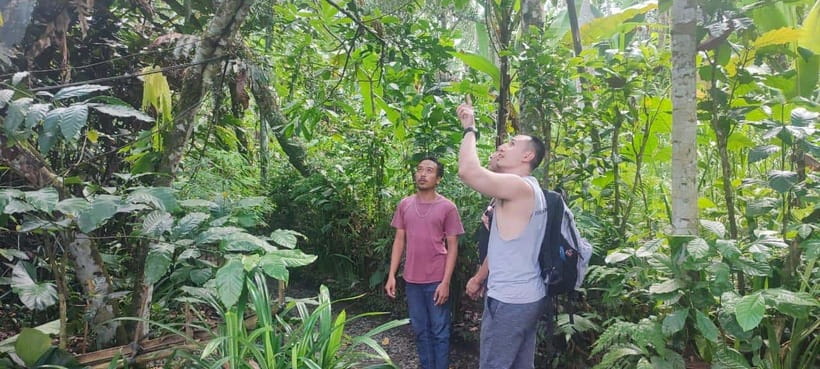 Batur Volcano Jeep Tour & Explore Best Waterfall in Bali - The Waterfall Stop: Walk, Swim, and Beat the Heat