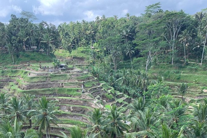 Best of Ubud & Mount Batur Volcano Private Bali Tour - Price and what $78.45 covers in real, useful terms