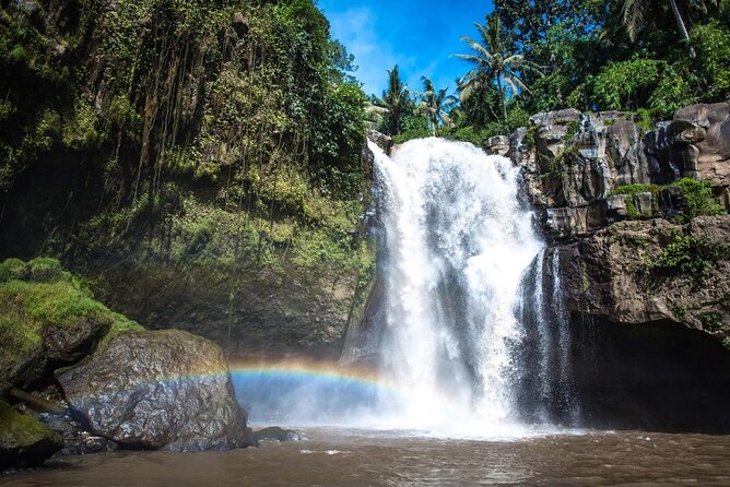 Best Ubud Tour with Instagrammable Jungle Swing all inclusive - Door-to-door Ubud highlights, without the self-drive headache