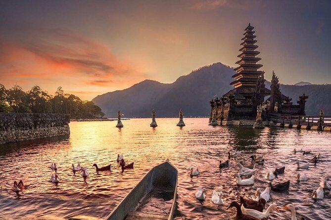 Best Ubud Tour with Instagrammable Jungle Swing all inclusive - Sacred Monkey Forest Sanctuary: temples and etiquette in one hour