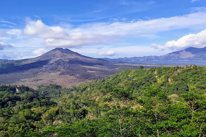 Day Trip Batur Volcano and 2 Beautiful Waterfall - Private Driver, Private Day: How the Tour Feels in Real Life