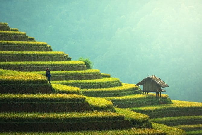 Explore Mount Batur Sunrise Trekking - Price and value: why $34.69 can feel like a bargain