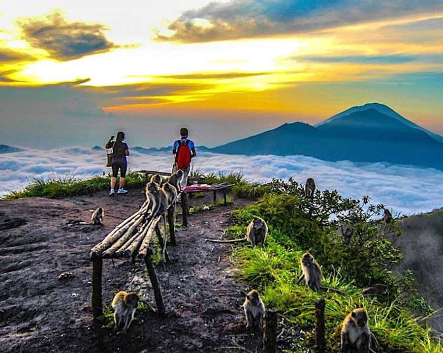 From Ubud: Mount Batur Hiking - Monkeys, Sellers, and Small Real-World Tips That Save Your Morning