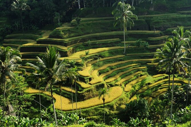 Full Day – Ubud Art Village and Mount Batur Kintamani with Lunch - Kemenuh wood carving and Tegenungan Waterfall’s jungle reset