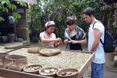Full-Day Ubud Village including Mt Batur Tirta Empul and Sightseeing Tour