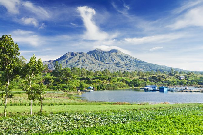 Highlights of Ubud & Mount Batur Volcano - Private Day Trip - Pickup, Timing, and Why Your Day’s Comfort Matters