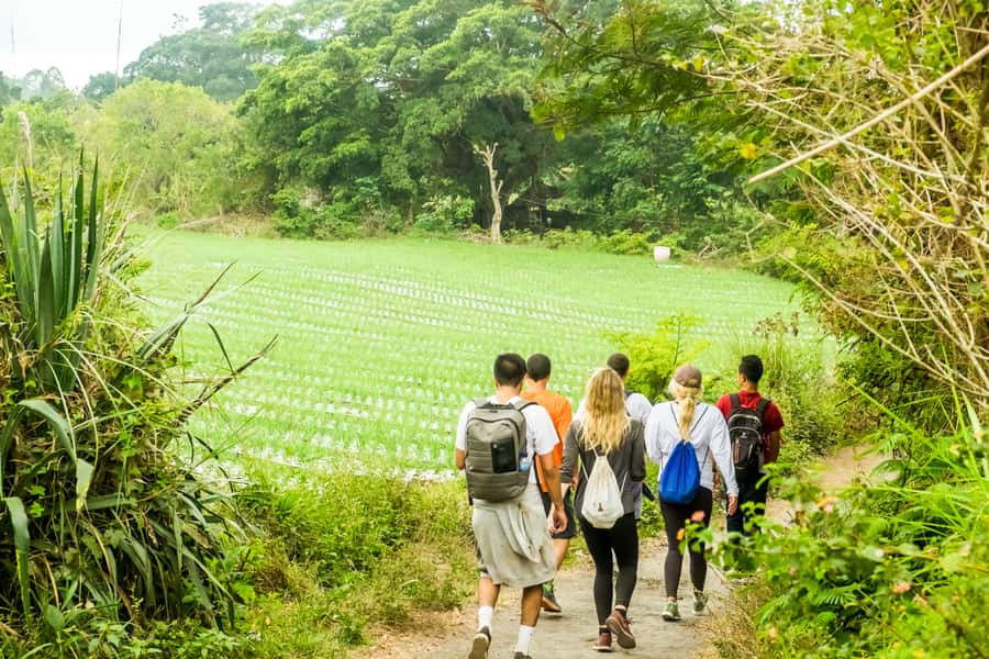 Mount Batur: 2D1N Kintamani Tour with Private Sunrise Hiking - The Mount Batur Sunrise Hike: 3 Km Up, Real Rewards at the Top