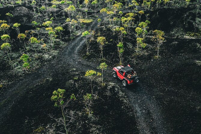 Mount Batur 4WD Jeep, Breakfast and Hot Spring All Inclusive - Getting Pulled Into the Day: Pickup, Timing, and Group Size