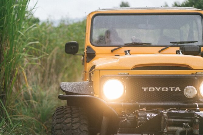 Mount Batur Black Lava Jeep Tour with Pickup - Who This Tour Fits Best (And Who Might Want Something Else)