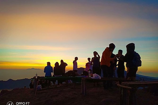 Mount Batur Guide and Natural Hot Spring - Coffee Plantation Drink on the Way Back: A small stop with a big payoff