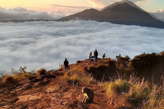Mount Batur Hiking With Terraced paddy Field Visit - Key highlights you should know before you go