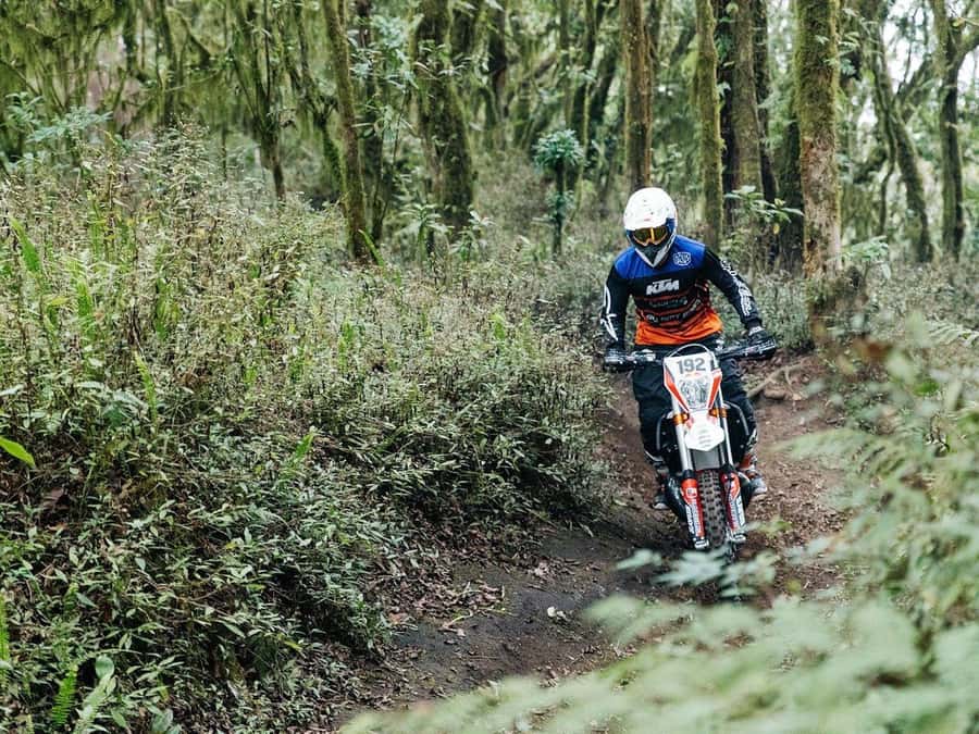 Mount Batur: Sunrise Dirt Bike Trek with Trained Riders - Price and value at around $50 for 5 to 7 hours
