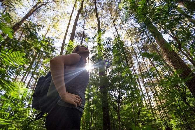 Mount Batur Sunrise Hike with Breakfast - Should You Book This Mount Batur Sunrise Hike?