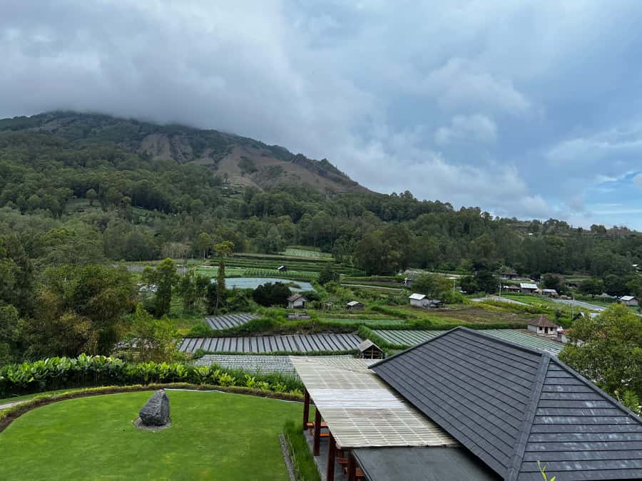 Mount Batur Sunrise Trek & Hot Springs Tour - Kintamani coffee plantation stop: what you get in 45 minutes