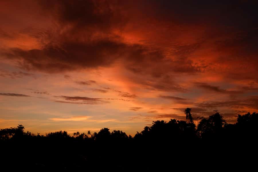 Mount Batur Sunrise Trek & Hot Springs Tour - Where you start: Mt. Batur Lounge and your first warm drink