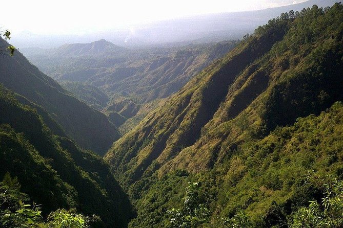 Mount Batur Sunrise Trekking and Rice Terrace Adventure - Tegalalang Rice Terrace stop: coffee and a softer finish