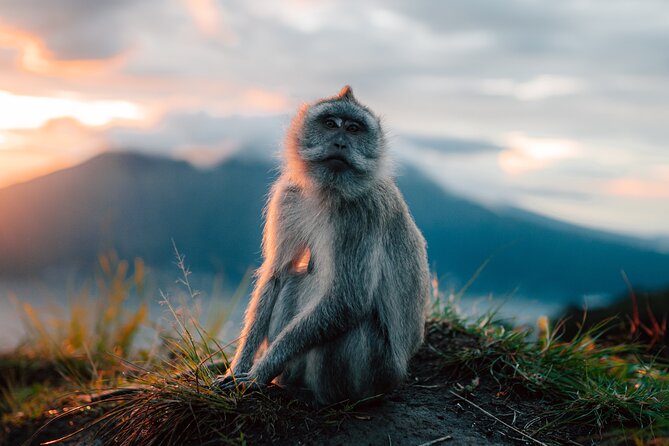Mount Batur Sunrise Trekking in Bali - Who This 6-Hour Batur Hike Fits Best