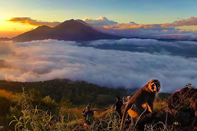 Mount Batur Sunrise Trekking With Breakfas - Price and value: what makes the $59.94 feel fair