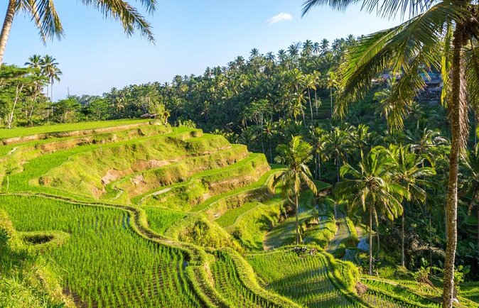Mount Batur Volcano, temples, Scenic Rice Terrace and Swing - Key Things to Know Before You Go