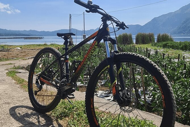 Mountain Bicycle Rental at Mount Batur - Mountain Batur by Bike: Why This Area Works So Well