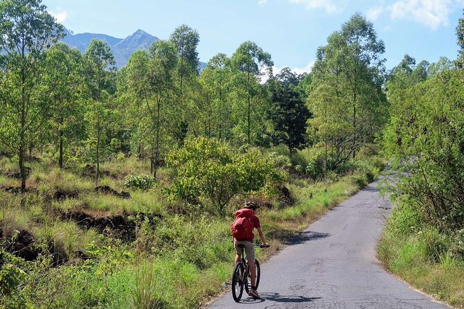 Mountain Bicycle Rental at Mount Batur - Price and Value: Why $5.37 Can Be a Smart Move