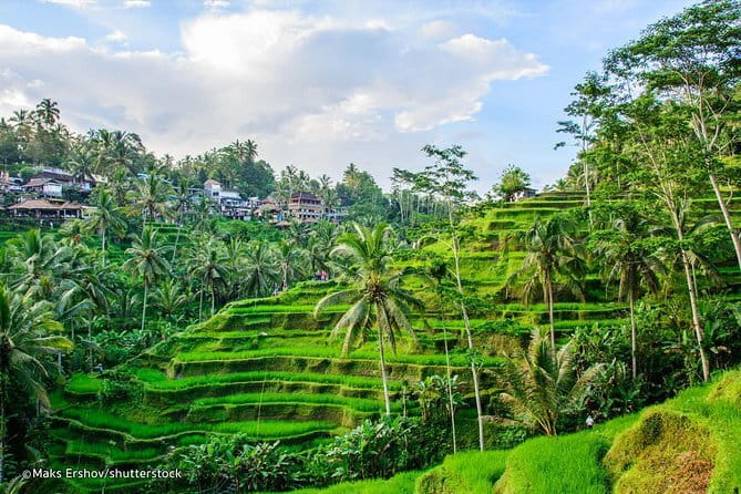 Mt Batur Sunrise Jeep & Natural Hot Spring Tour - Price and Value: Is $65 a Good Deal?