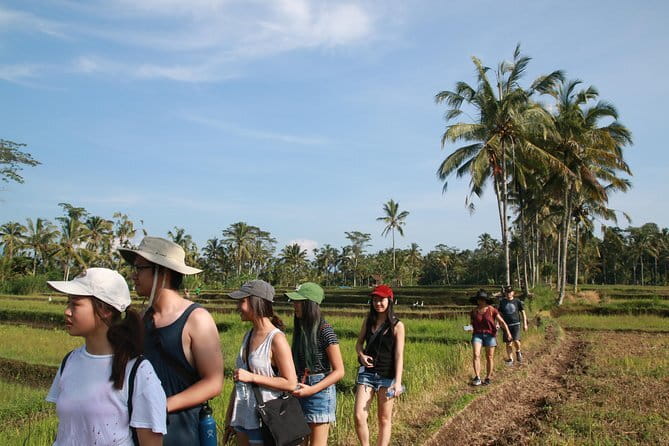 Mt Batur Sunrise Jeep & Natural Hot Spring Tour - Guide Quality: What the Best Reviews Suggest