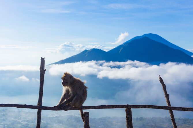 Private Mount Batur Sunrise trekking Tour - Transport, meeting point, and how to make logistics painless