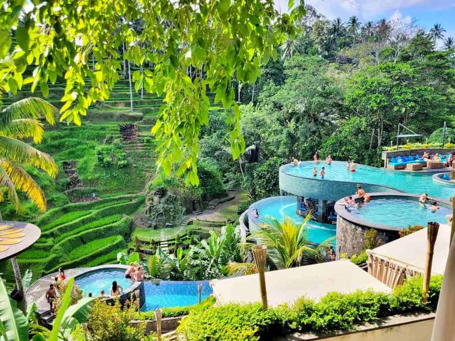 Ubud: Batur Cafe Sunrise, Zip-Line & Cretya Day Club Tour - Tegalalang rice terraces: viewpoint time for photos that actually work