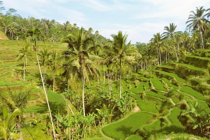 Ubud Combine Mount Batur Kintamani Tour - Stop 4: Mt Batur View Time Without Sunrise Climbing